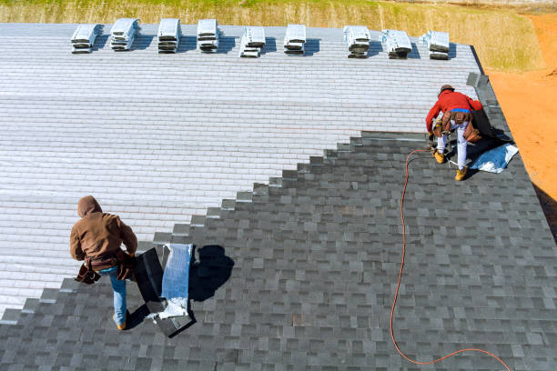 Best Roof Gutter Cleaning  in Brooksville, MS