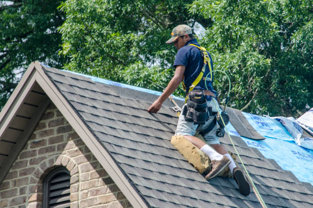 Best Residential Roofing Contractor  in Brooksville, MS